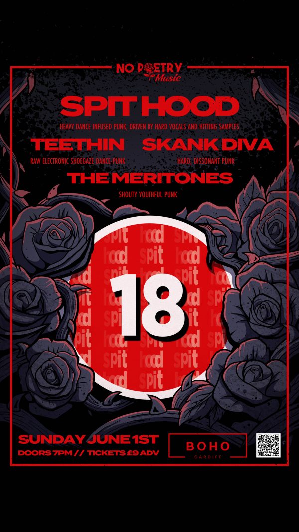 Spit Hood, Teethin, Skank Diva, The Meritones at Boho Cardiff - Image 4