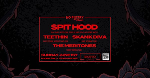 Spit Hood, Teethin, Skank Diva, The Meritones at Boho Cardiff - Image 5