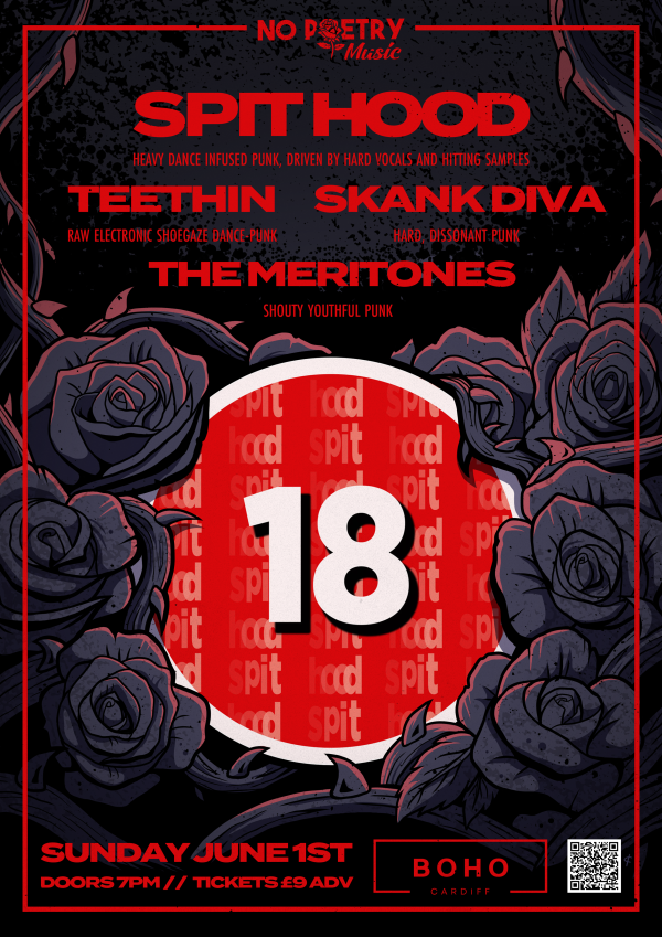 Spit Hood, Teethin, Skank Diva, The Meritones at Boho Cardiff - Image 2
