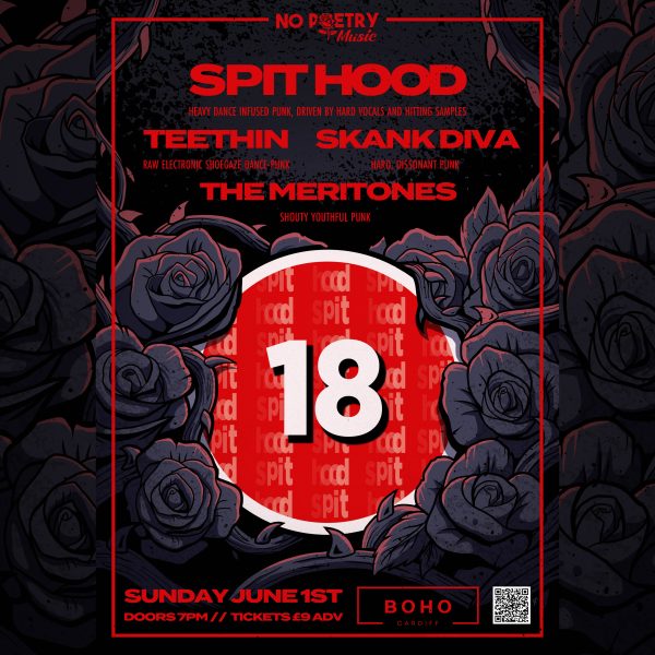 Spit Hood, Teethin, Skank Diva, The Meritones at Boho Cardiff